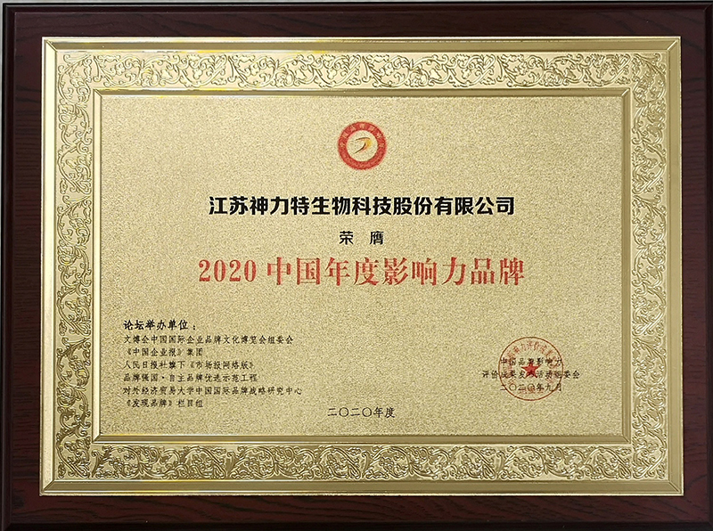 6、2020中國(guó)年度影響力品牌.jpg